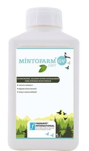 MİNTOFARM GV LİKİT