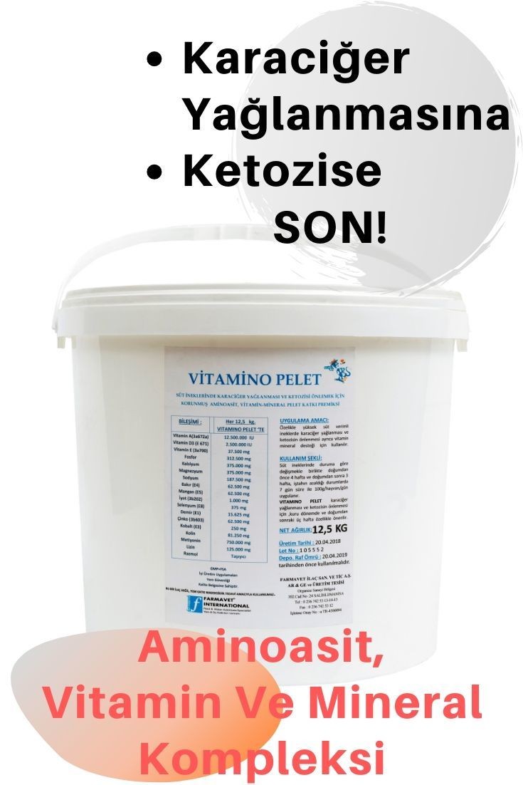 Vitamino Pelet Karaciğer Yağlanması Ve Ketozisi Önler