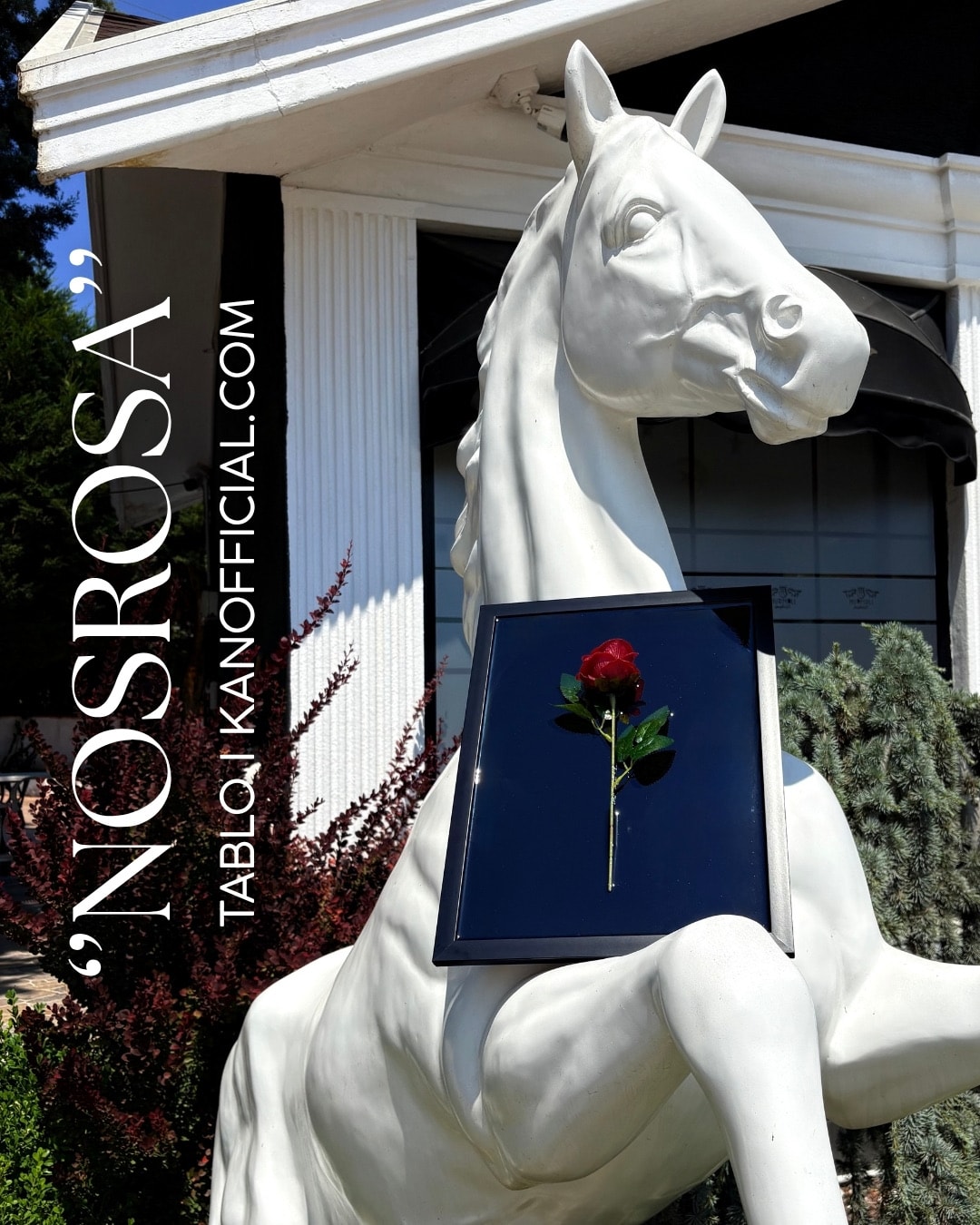 ‘’NOSROSA’’
