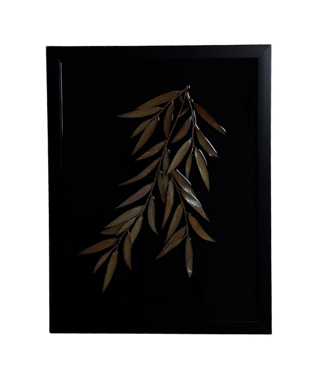 ‘’BRANCE DE SAULE’’ main variant image