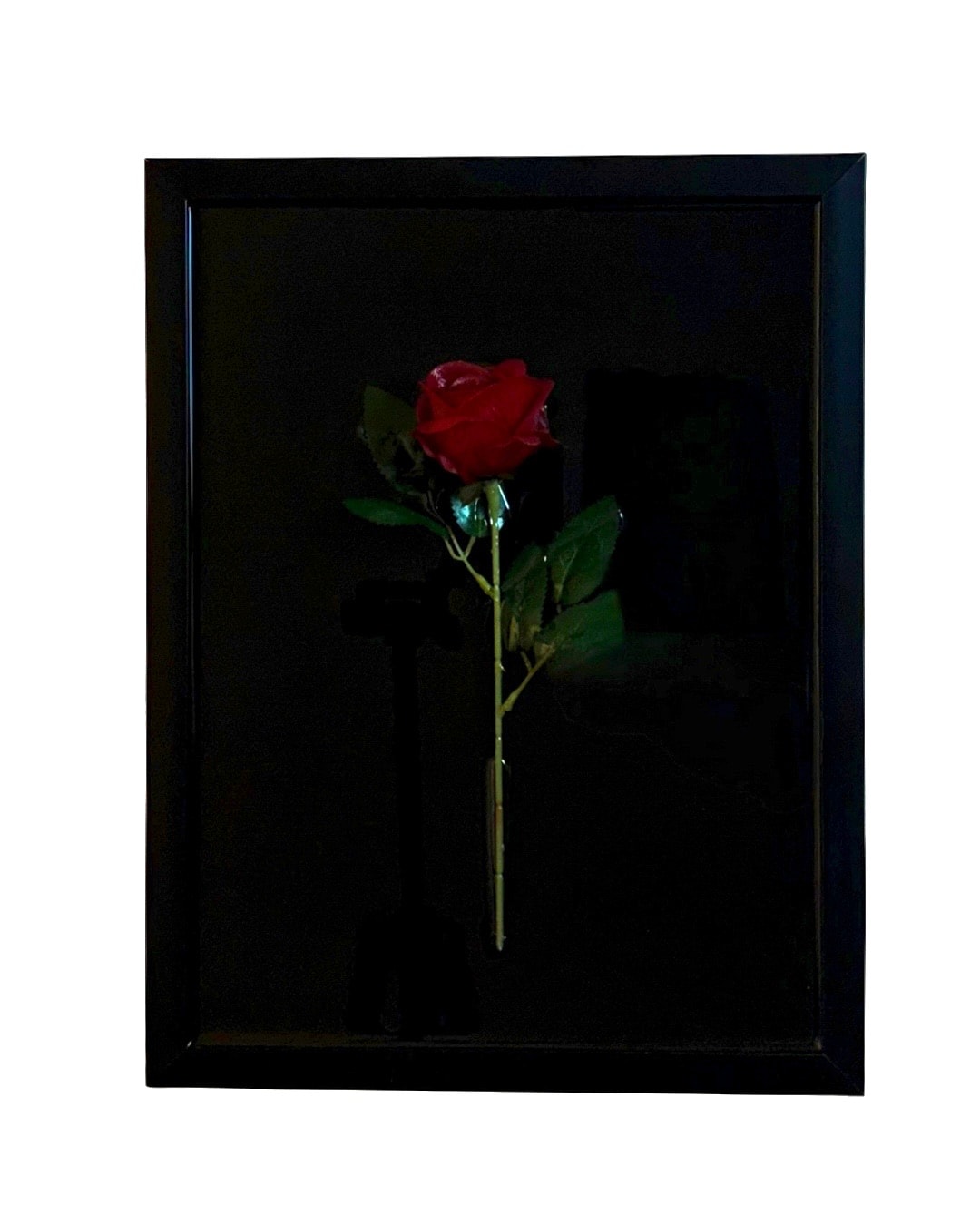 ‘’NOSROSA’’ main variant image