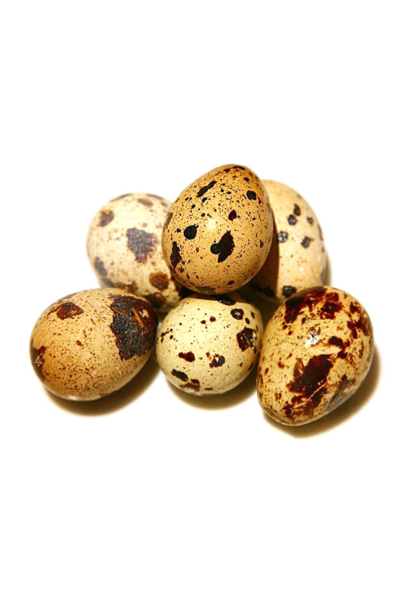 Han Çiftliği Bıldırcın Yumurtası 12'li