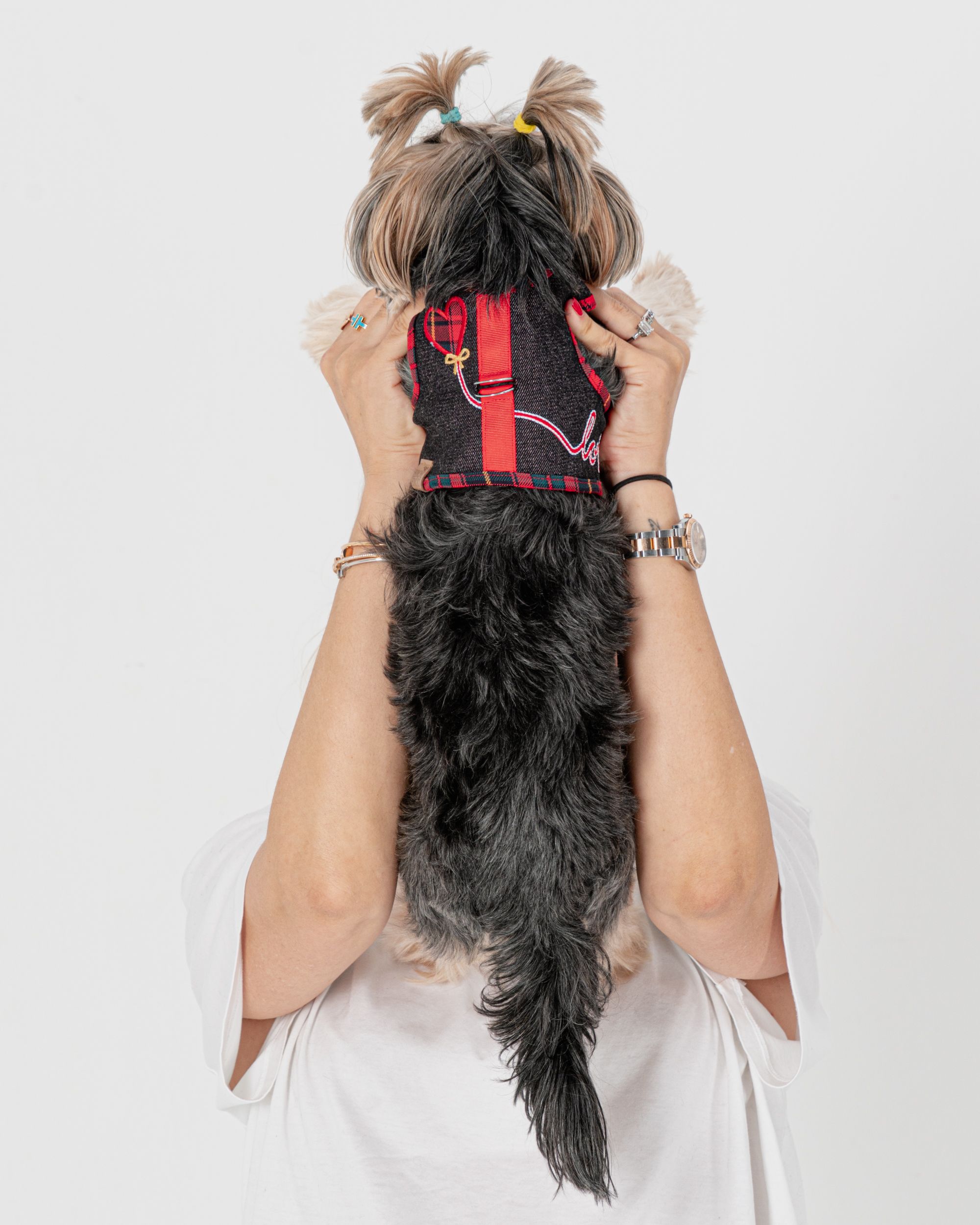 Reversible Denim Harness '' LOVE '' Red