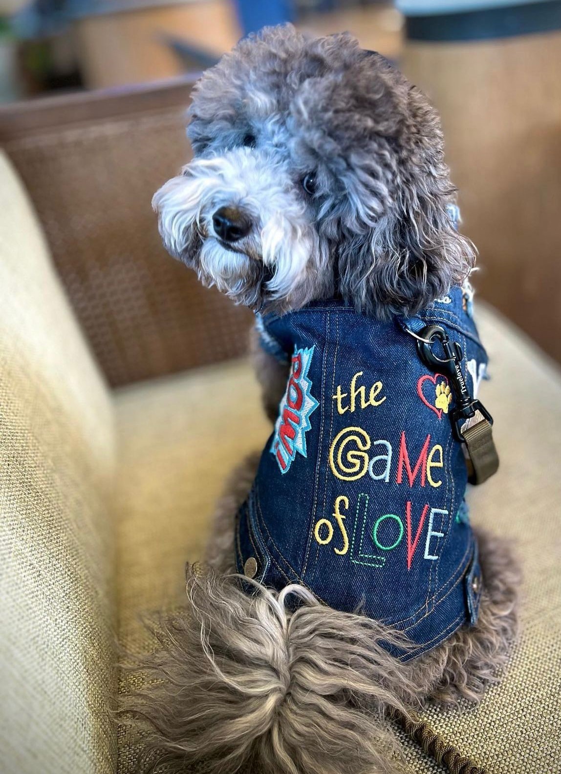 "The Game Of Love" Denim Vest