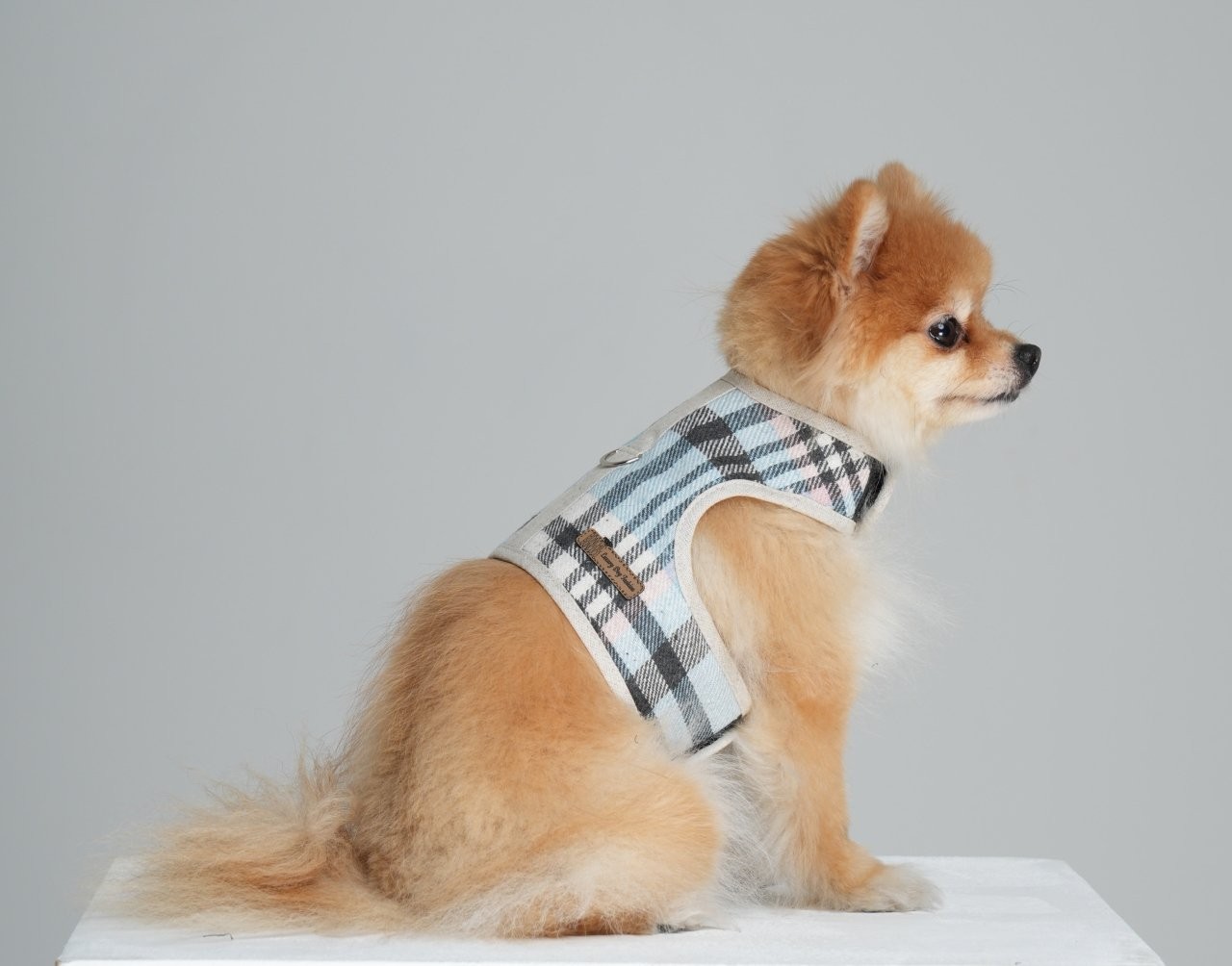 Fluffy Harness Vest Blue