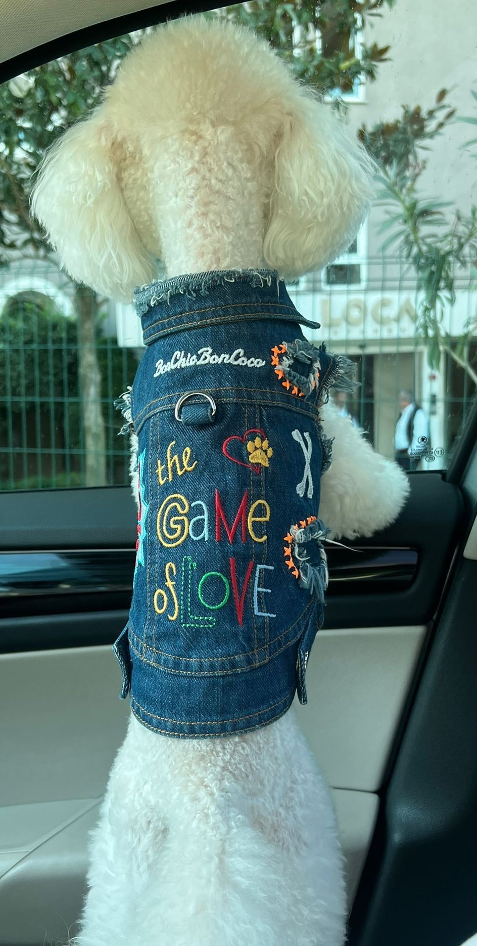 "The Game Of Love" Denim Vest