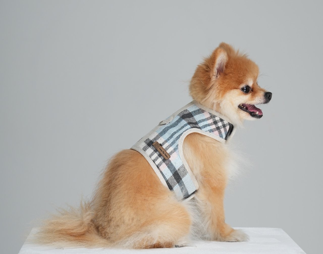 Fluffy Harness Vest Blue