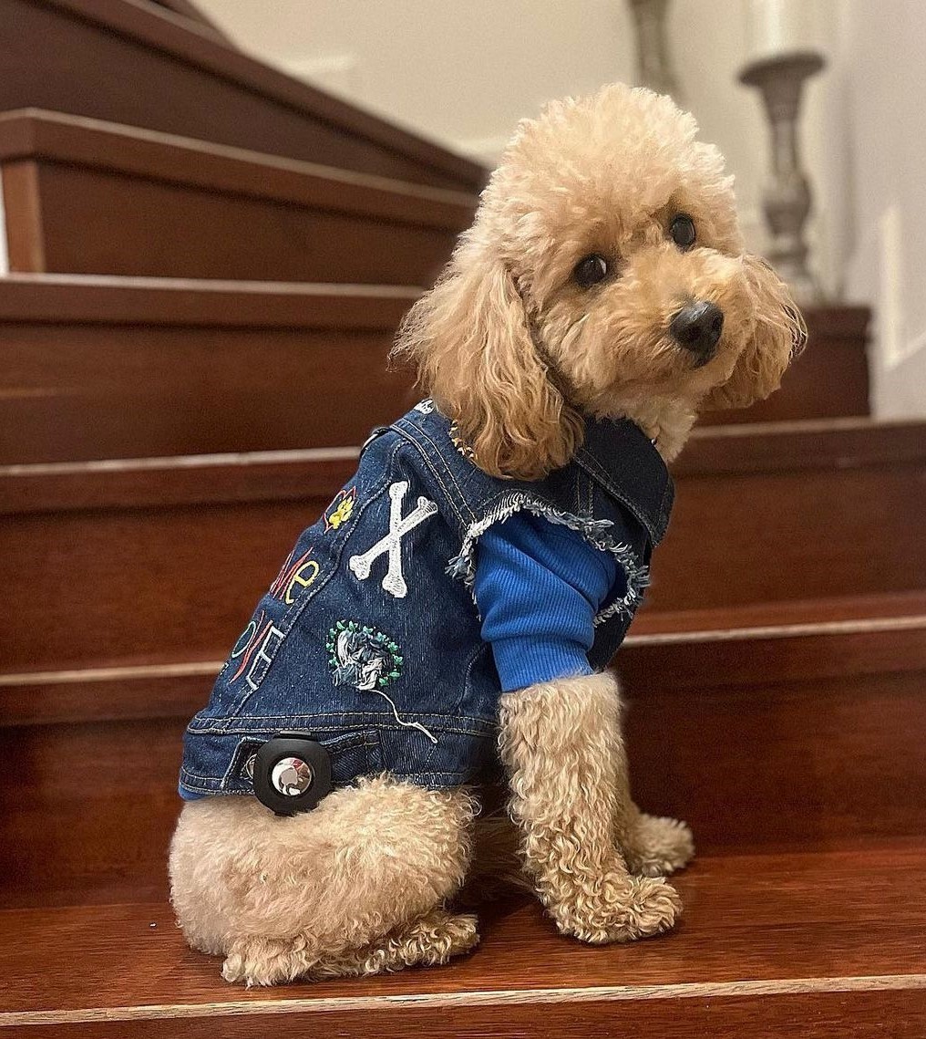 "The Game Of Love" Denim Vest