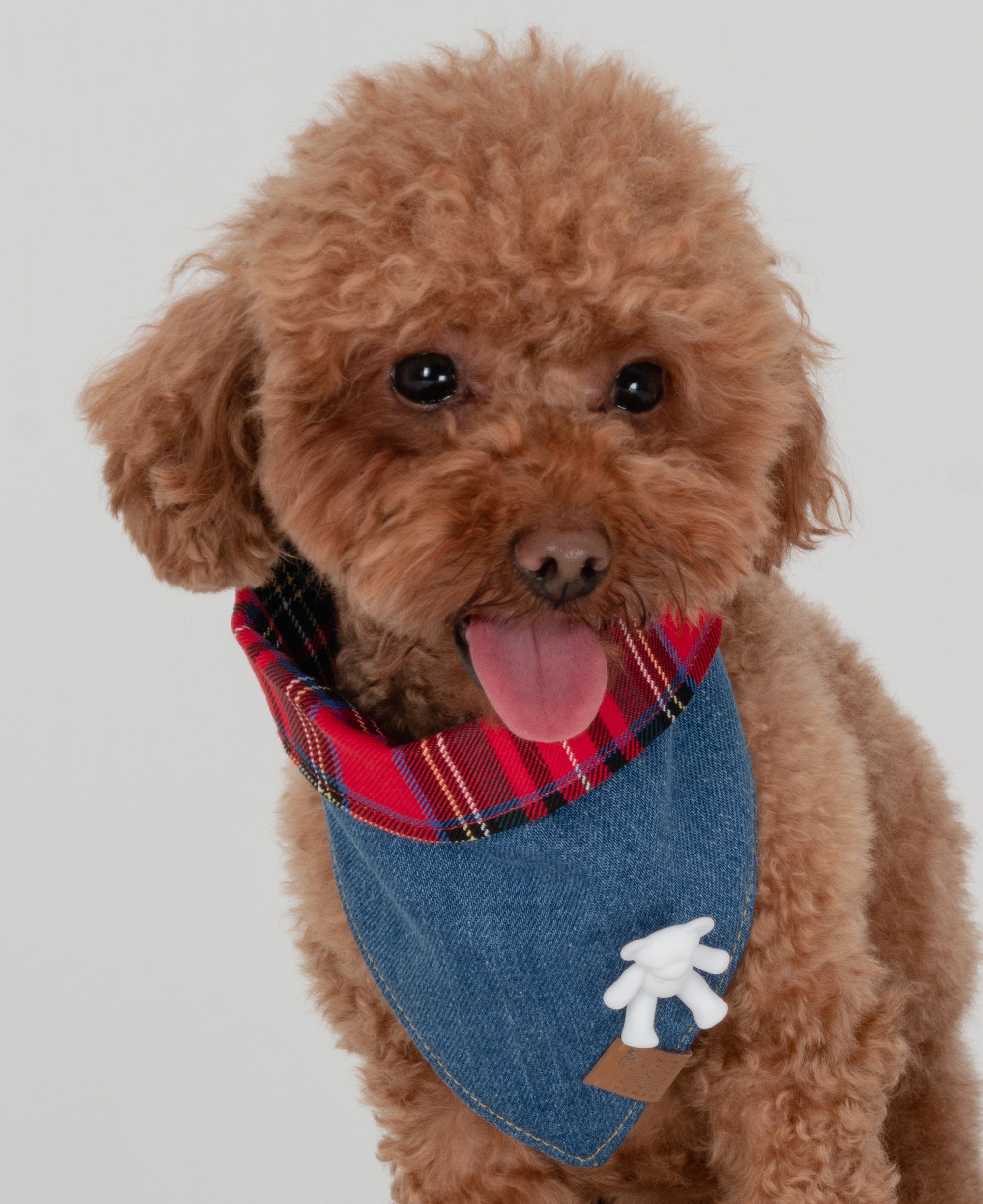 BCBC HARPER DOG BANDANA