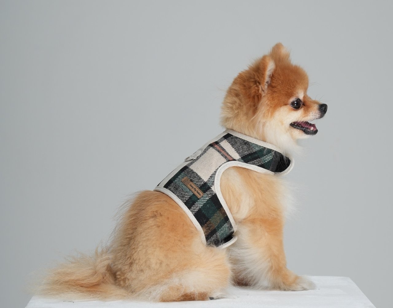 Fluffy Harness Köpek Gezdirme Yeleği Yeşil