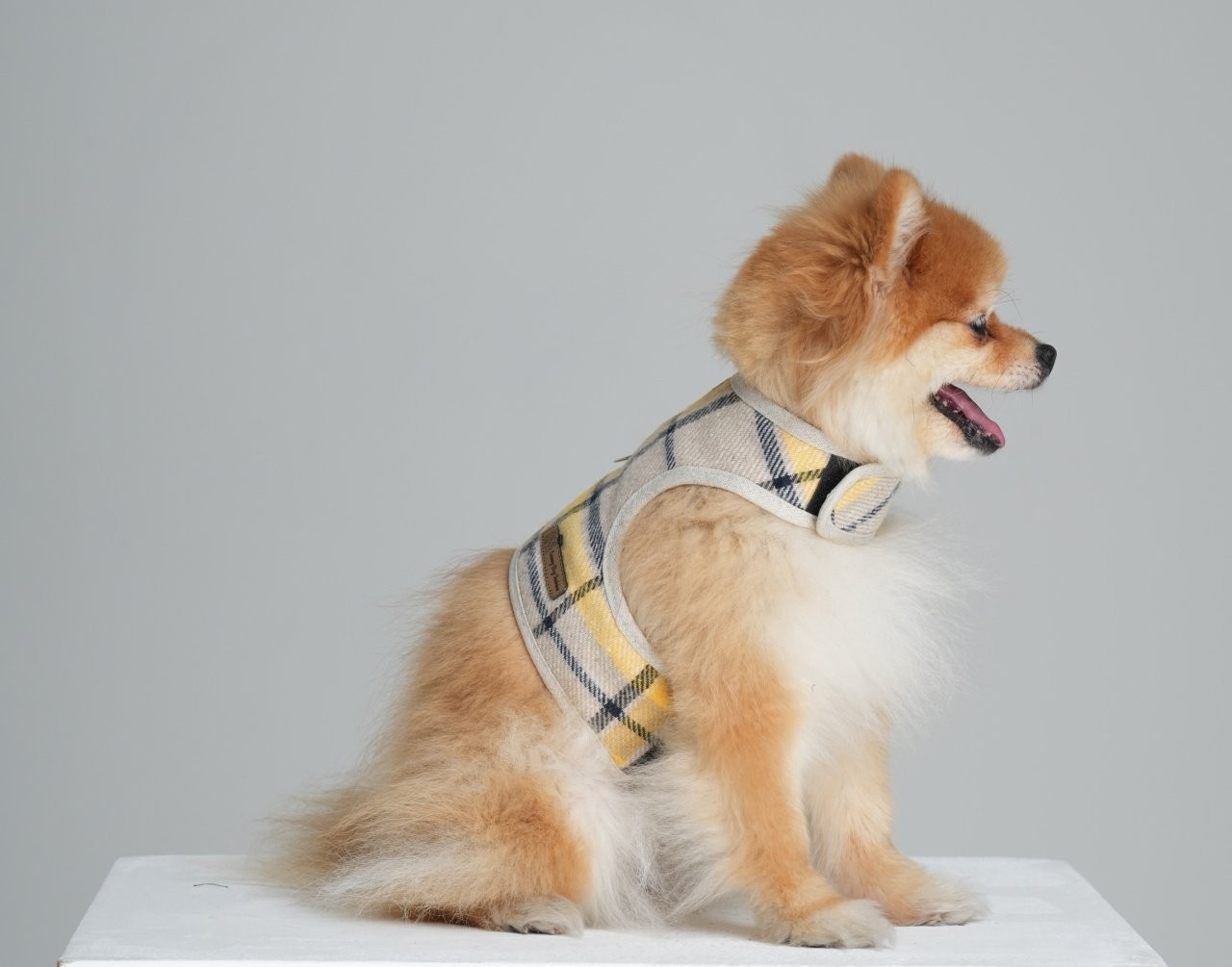 Fluffy Harness Köpek Gezdirme Yeleği Sarı