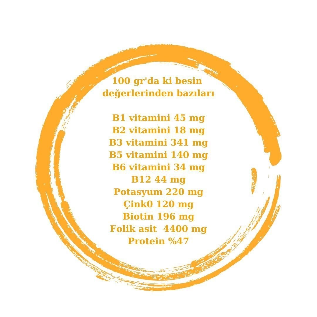 Besin Mayası 100 gr