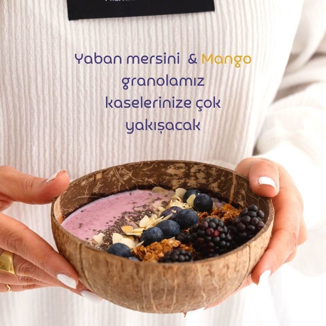 Glutensiz Yaban Mersin & Manga Granola 250 gr