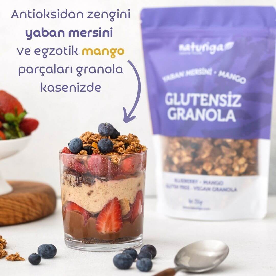 Glutensiz Yaban Mersin & Manga Granola 250 gr