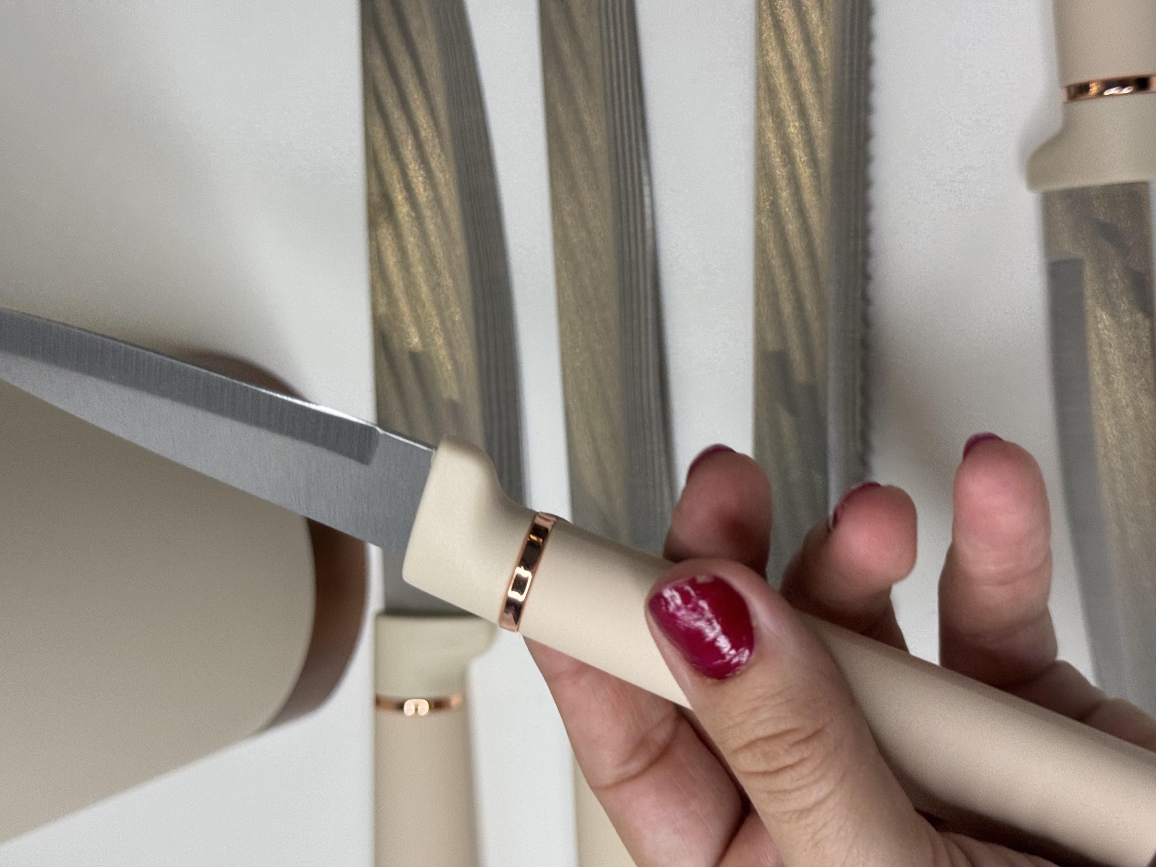 Venha Standlı Paslanmaz Çelik Bıçak Seti