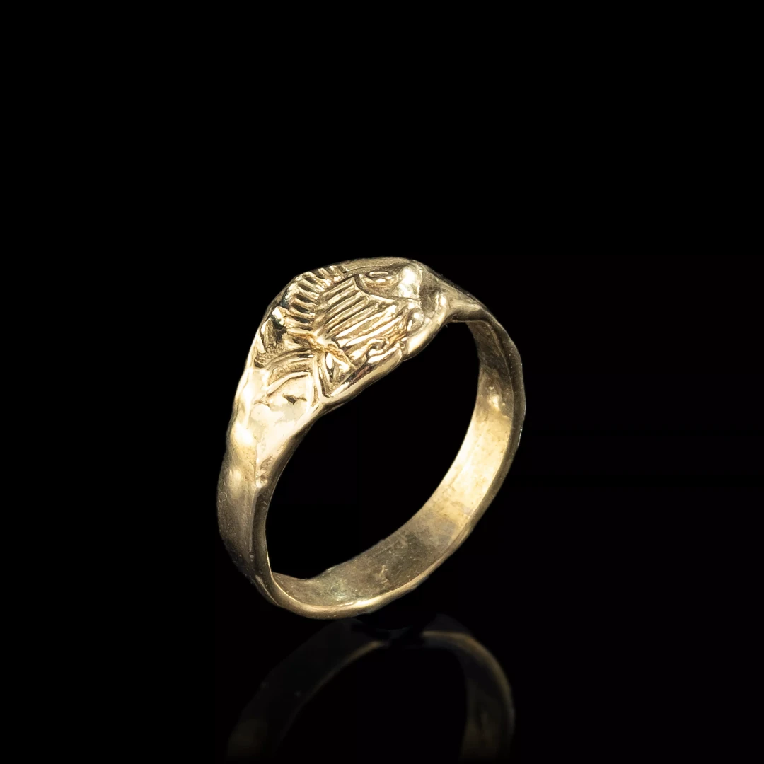 The Angelfish Ring