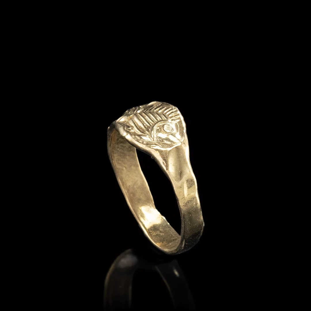 The Angelfish Ring