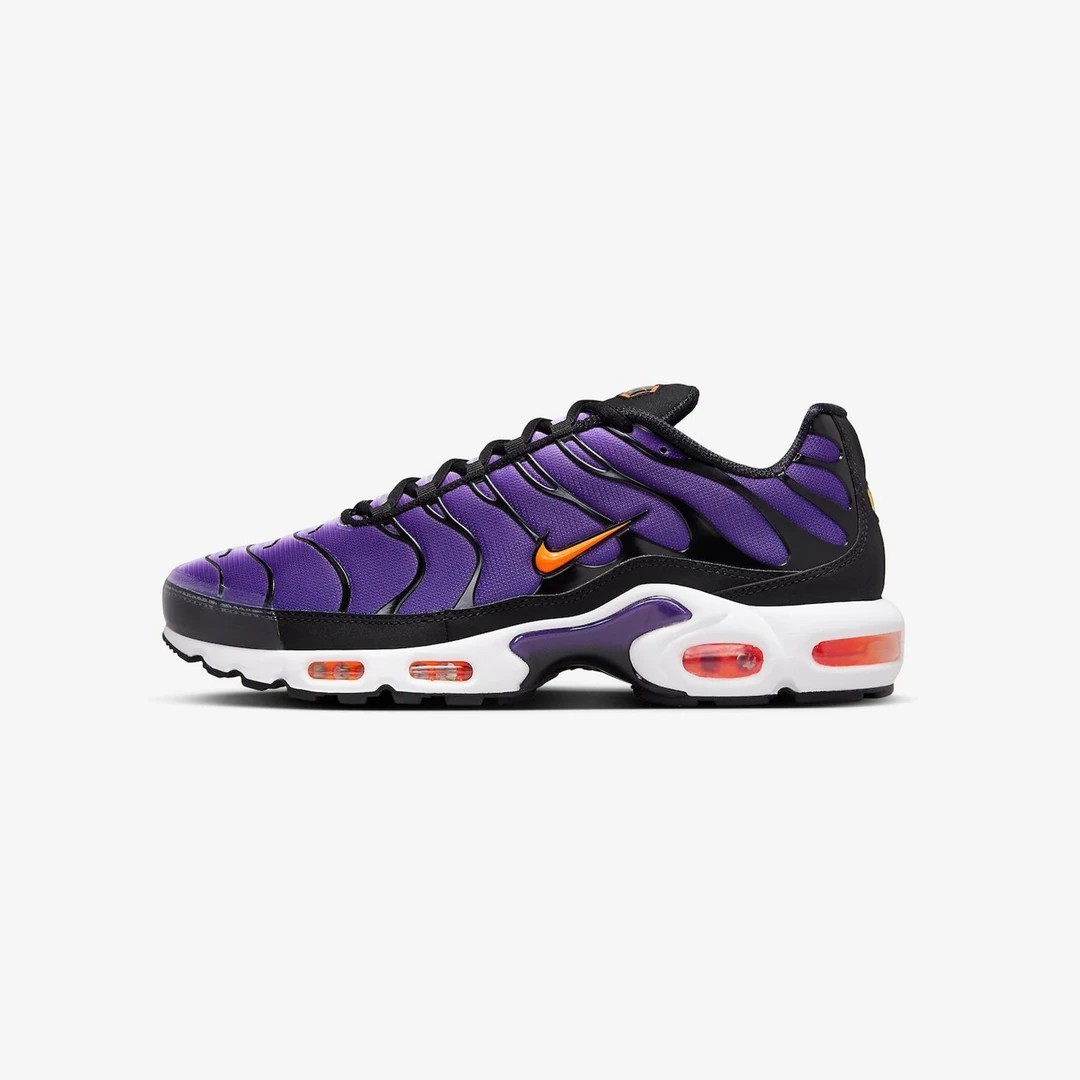 Nike Air Max Plus "TN" Triple Black - Purple