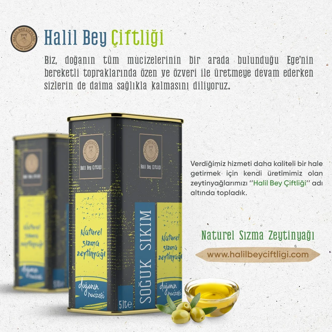 Erken Hasat 18 Litre Soğuk Sıkım Sızma Zeytinyağı Teneke