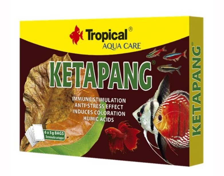 Tropical Ketapang Tozu 5gr 6lı Paket