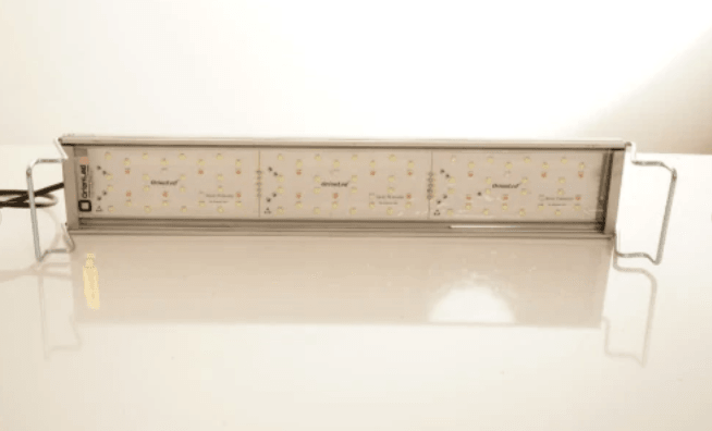 OrionLed C Serisi Akvaryum Led Aydınlatma Siyah 45cm
