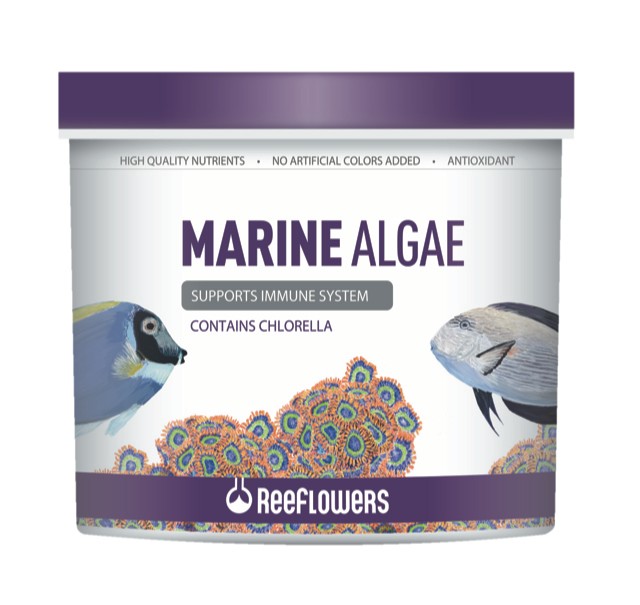 Reeflowers Marine Algae 150ml
