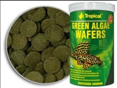 Tropical Green Algae Wafers Vatoz Yemi