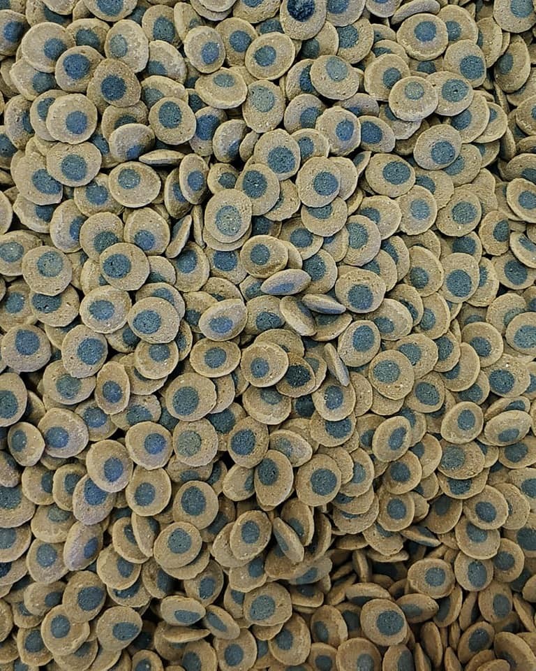 Tetra Pleco Veggie Wafers Tablet Yem (AÇIK)