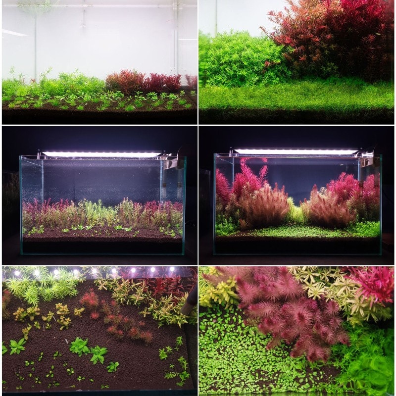 Aquario Neo Soil Plant Gravel No Co2 8LT