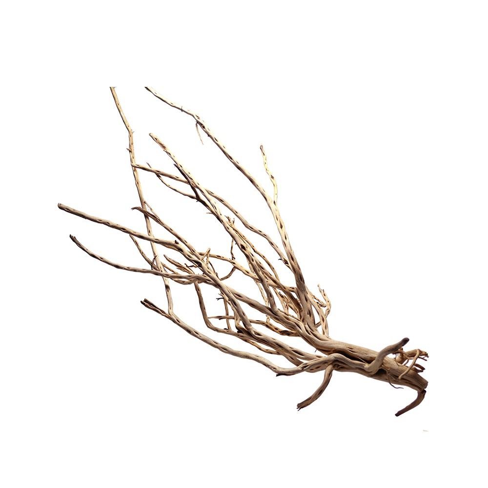 Spotted Wood Doğal Akvaryum Tasarım Kütüğü 1000 Gr