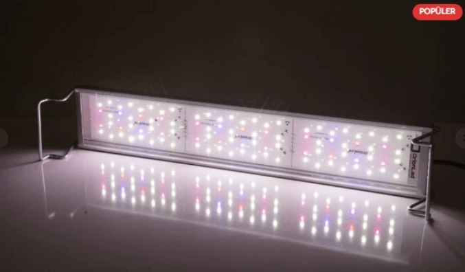 OrionLed C Serisi Akvaryum Led Aydınlatma Siyah 45cm