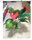Plastik Akvaryum Bitkisi 50 cm '133'