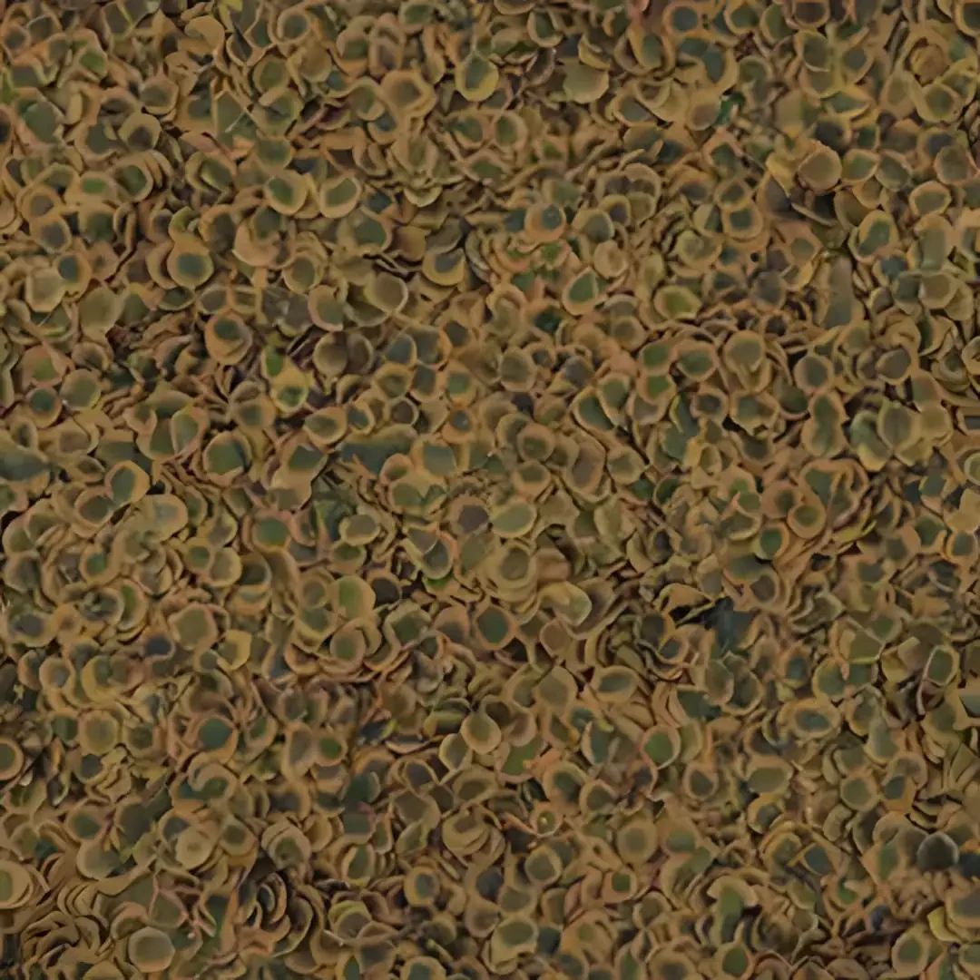 Tetra Pro Algae 250ml Balık Yemi