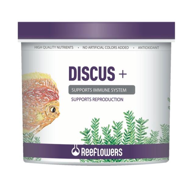 Reeflowers Dicsus+ Balık Yemi (AÇIK)