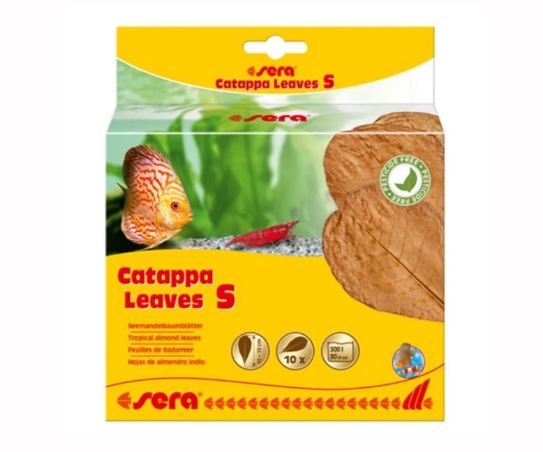 Sera Catappa Yaprağı S 14 Cm 10lu Paket