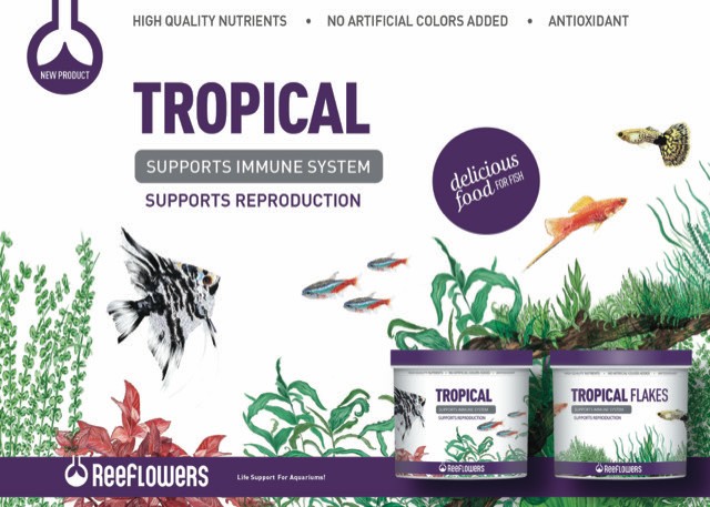Reeflowers Tropical 150ml Balık Yemi