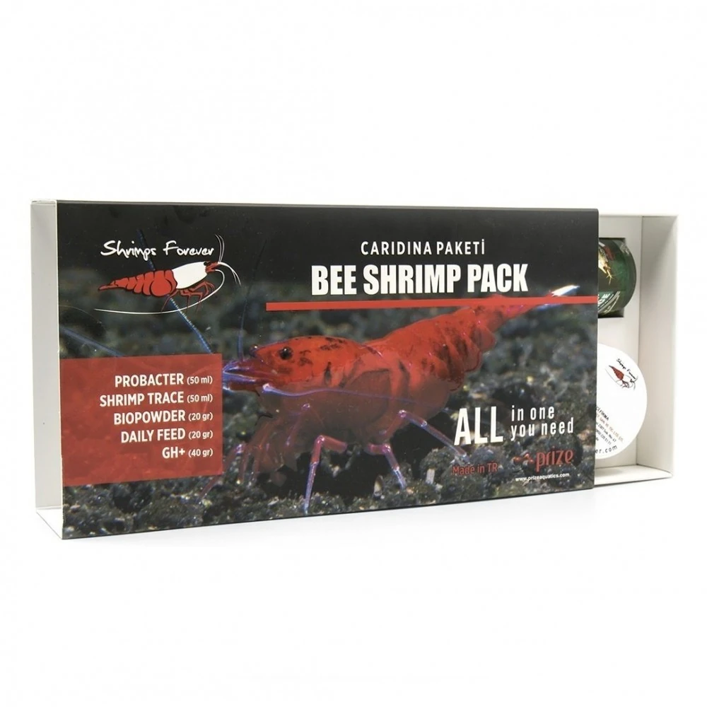 Shrimps Forever Caridina Sp Starter Pack Karides Başlangıç Seti