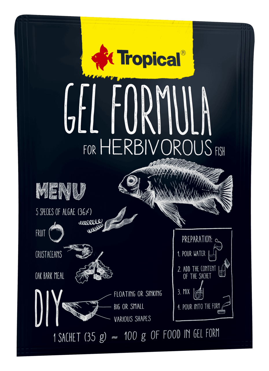 Tropical Gel Formula Herbivorous 35gr Otçul