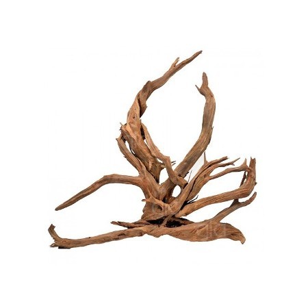Red Moor - Yati Kökü (Çöl Kütüğü) 0,5 Kg