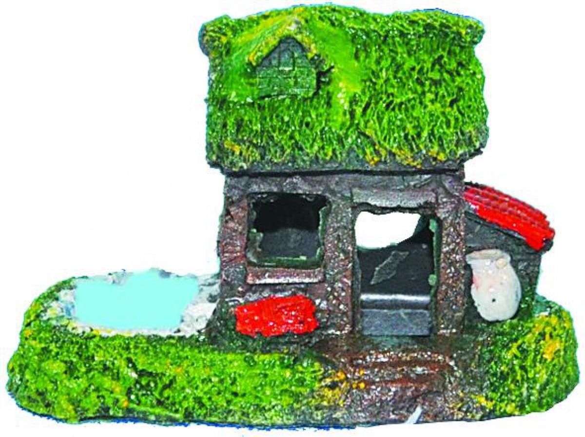 Ti-Sert Küçük Ev D-363