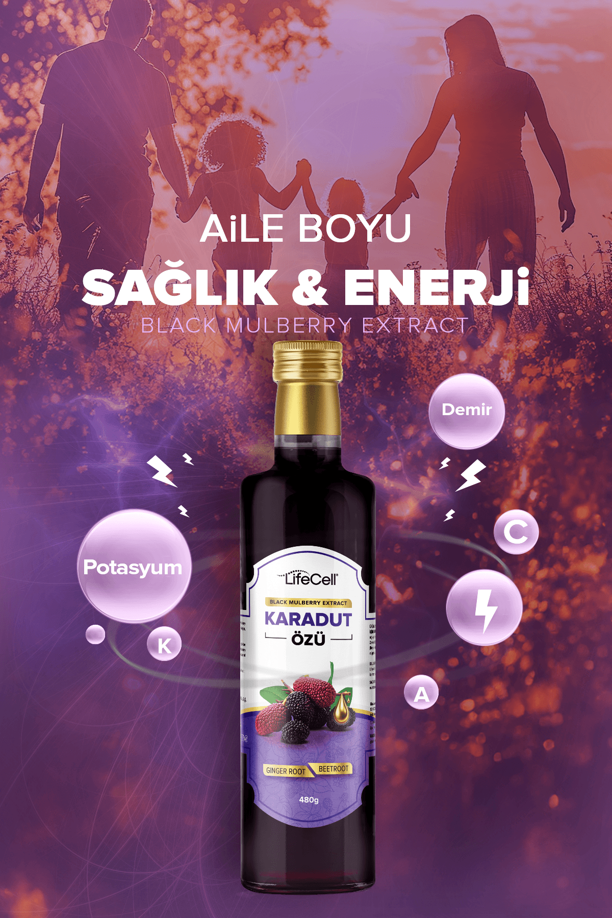 Karadut Özü - Black Mulberry Extract