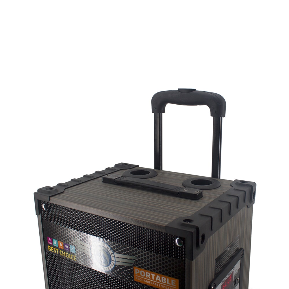 Zore LT-912 Dijital LED Göstergeli FM Radyolu Mikrofonlu Gitar Girişli TWS 12 inç Stereo Bass Kablosuz Karaoke Hoparlör