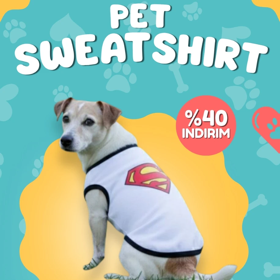 Pawleno Superman Tişörtü – Dostunuz İçin Süper Güç!