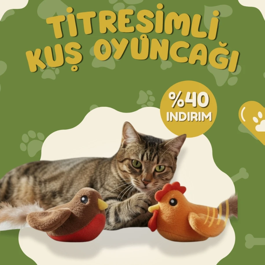 Pawleno Titreşimli Kuş Oyuncağı