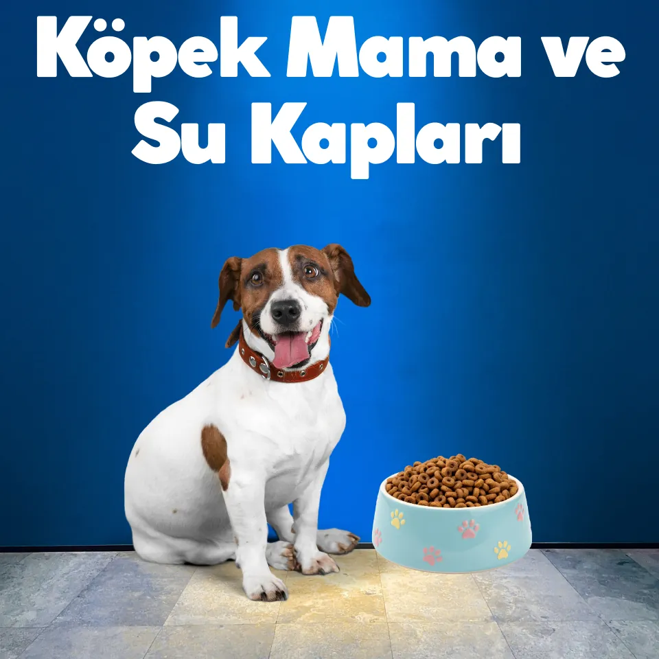 Köpek Tasmaları