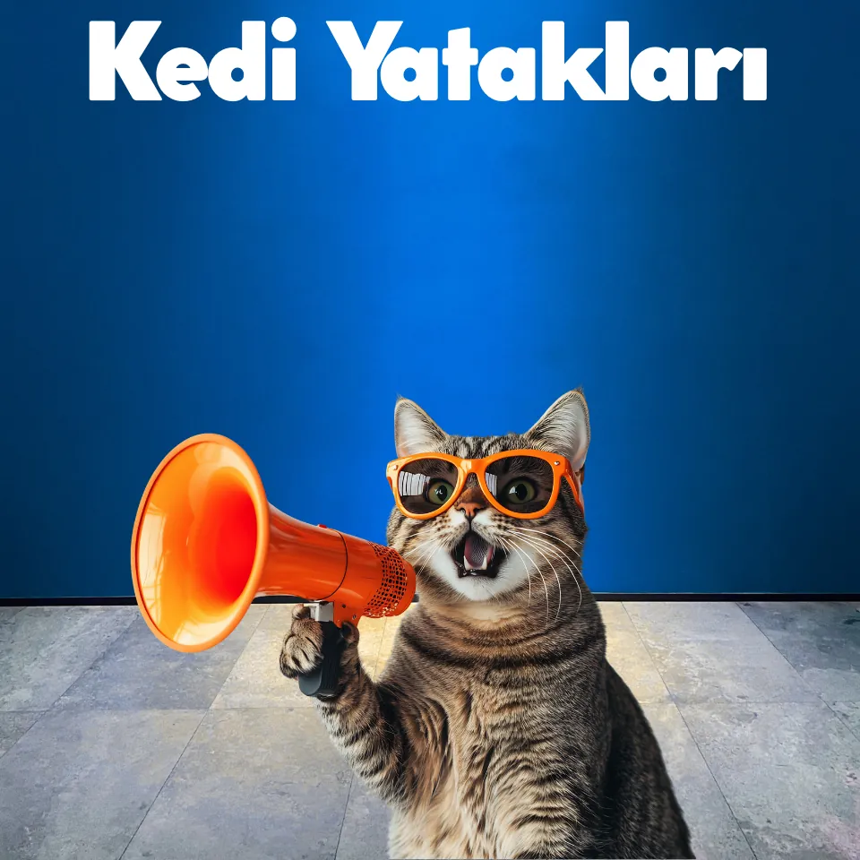 Kedi Tasmaları