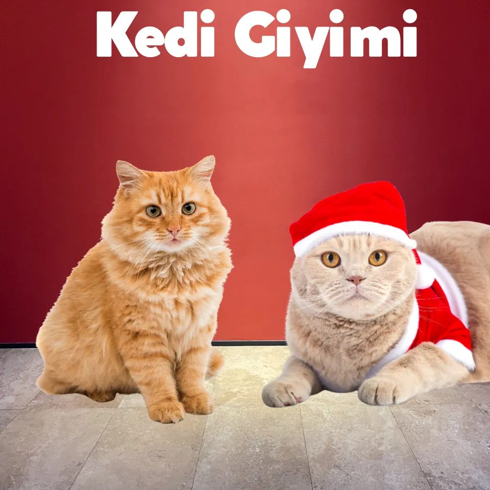 Kedi Aksesuarları