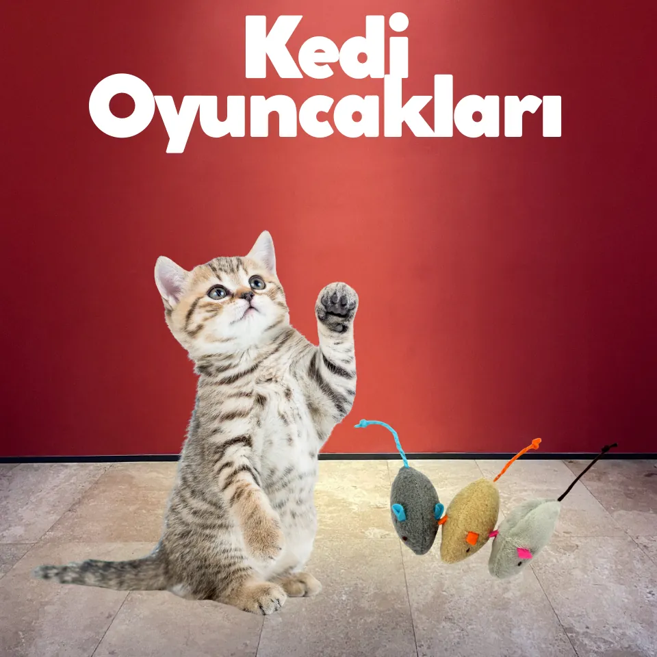 Kedi Tırmalama