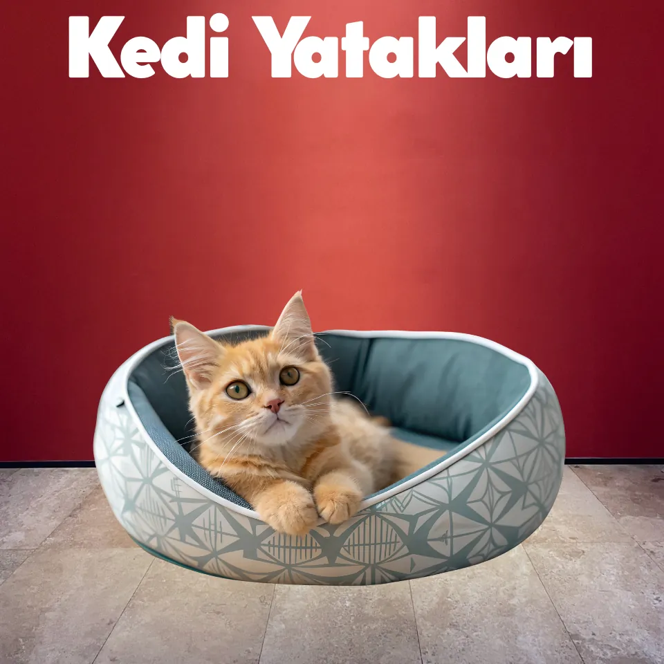 Kedi Maması