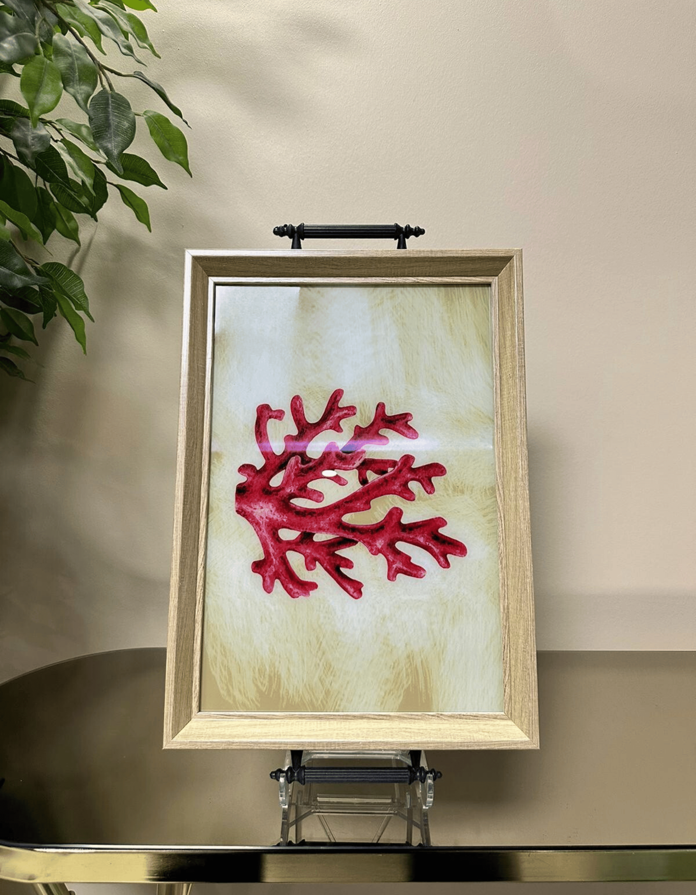 Scarlet Reef – Deniz Mercanı Tepsi 